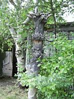 Экспонат на улице