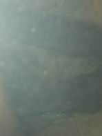 Попытка снать подлёт к  Сургуту